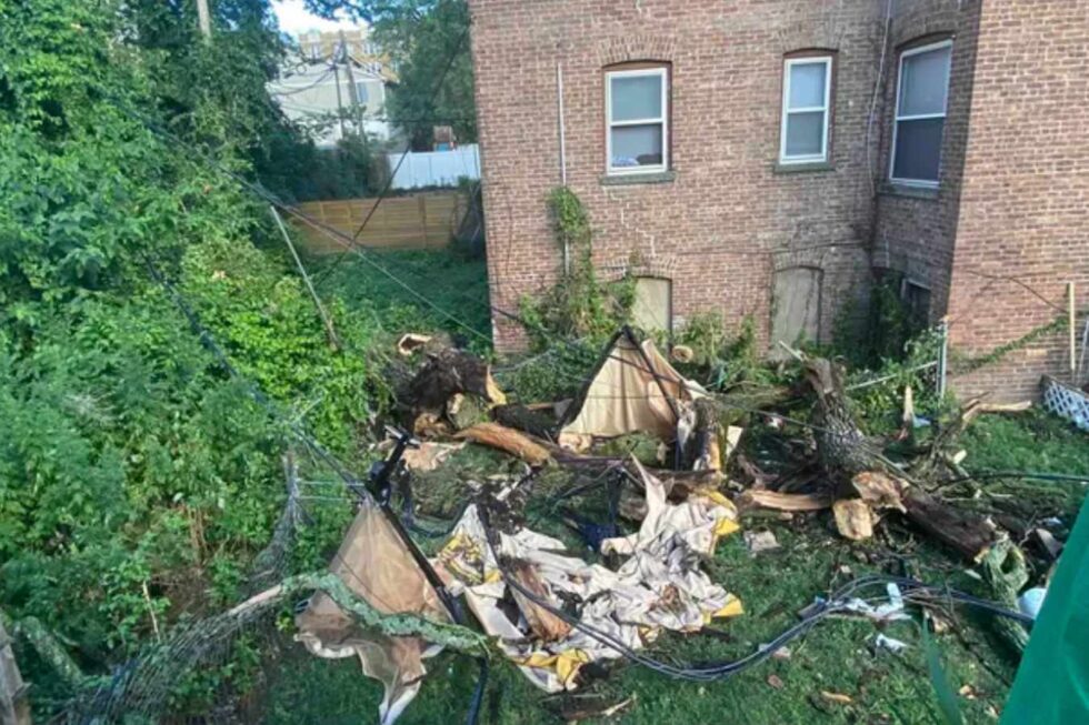 Tragedy Strikes: 2 Dead After Trees Fall in Devastating Incident in New Jersey